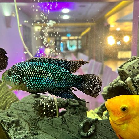 Eurohotel スバジェンツ エクステリア 写真