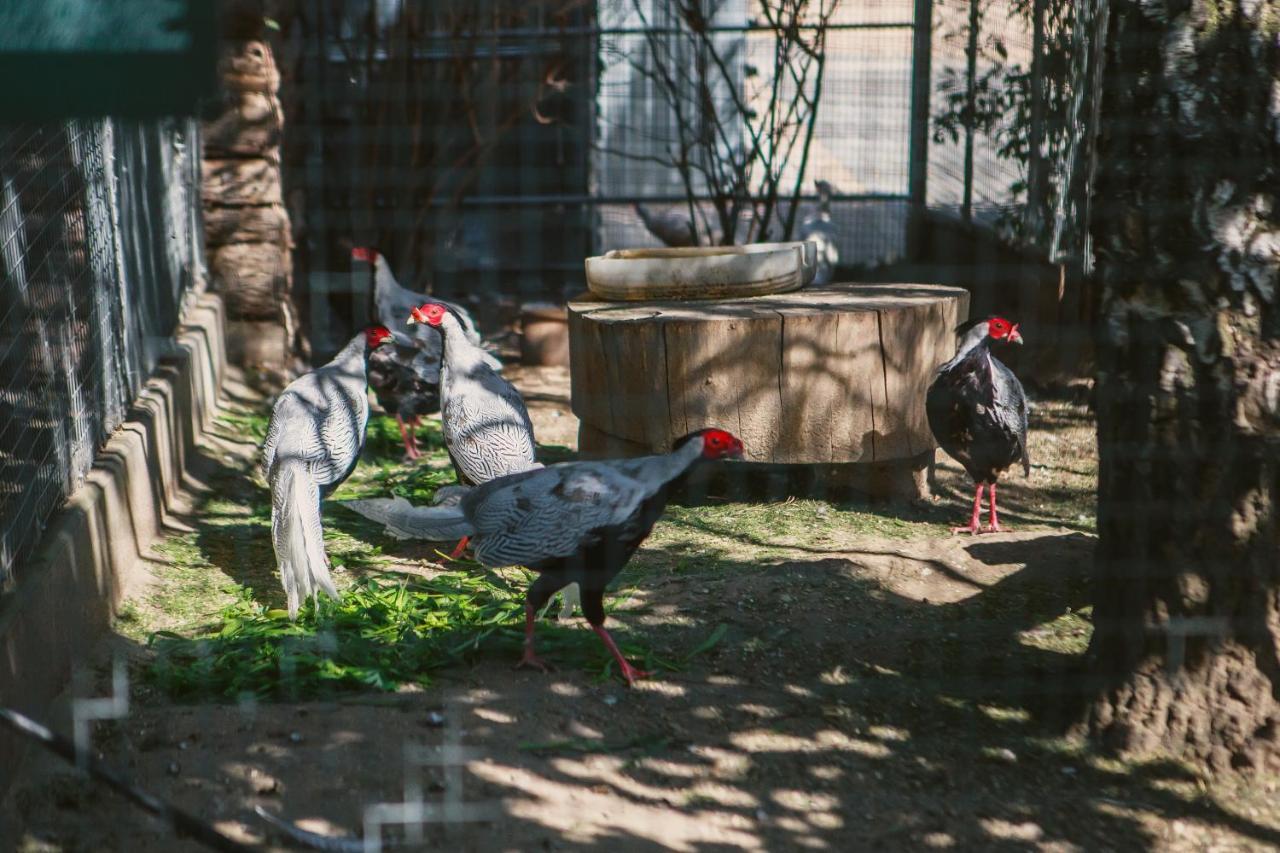 Eurohotel スバジェンツ エクステリア 写真